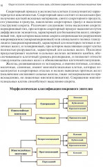Общая гистология. Эпителиальные ткани, кровь, собственно соединительные, скелетные и мышечные ткани. Рабочая тетрадь - Фото 8