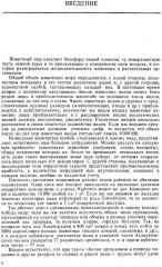 Зоология беспозвоночных - Фото 2