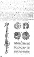 Зоология беспозвоночных - Фото 6