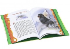 Рассказы и сказки - Фото 1