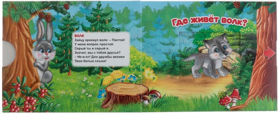 Книга  «Лесные животные»