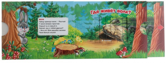 Книга  «Лесные животные»