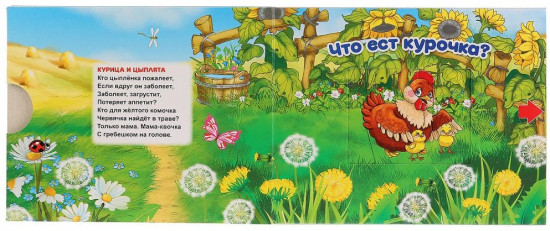 Книга «Домашние животные»
