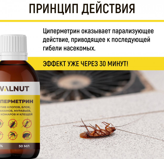 Циперметрин против тараканов, клопов и блох