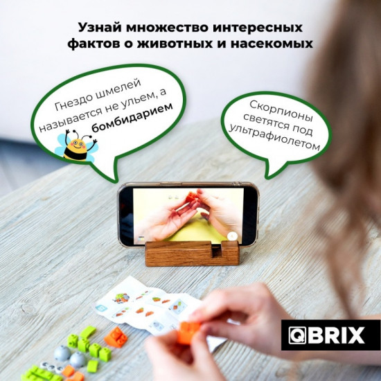Конструктор «Мир жучков»