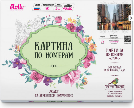 Картина по номерам «Ромашковое настроение»