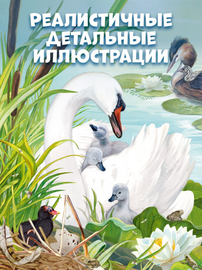 Секреты животных озера. Визуальная энциклопедия