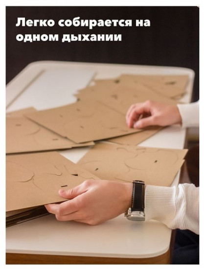 3D пазл «Череп органайзер»