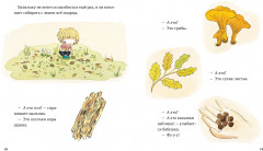 В саду Базилика. Как какают деревья? - Фото 3