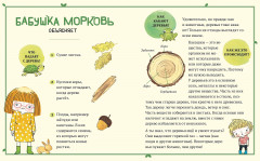 В саду Базилика. Как какают деревья? - Фото 4