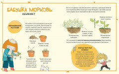 В саду Базилика. Как появляются новые растения? - Фото 4