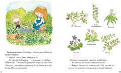 В саду Базилика. Сорняков не существует! - Фото 2