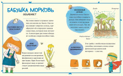 В саду Базилика. Растения обладают суперспособностями! - Фото 4