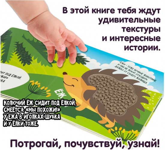 Мини-игры развивающие «Животные леса»