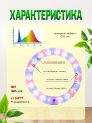 Фитолампа для растений и рассады - Фото 2