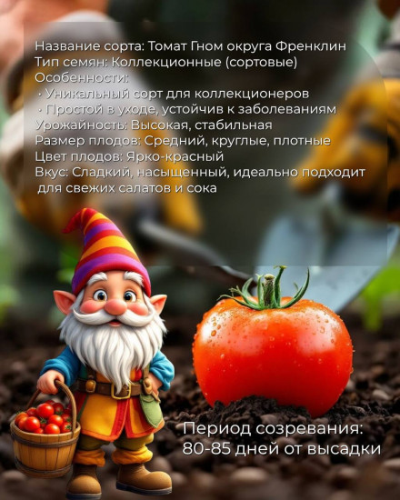 Коллекционные семена томата «Гном округа Френклин»