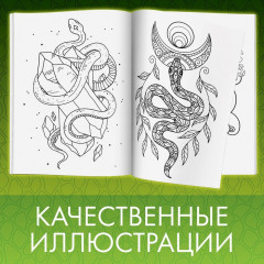 Раскраска «Прекрасные и опасные змеи» - Фото 3