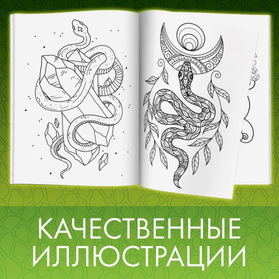Раскраска «Прекрасные и опасные змеи»