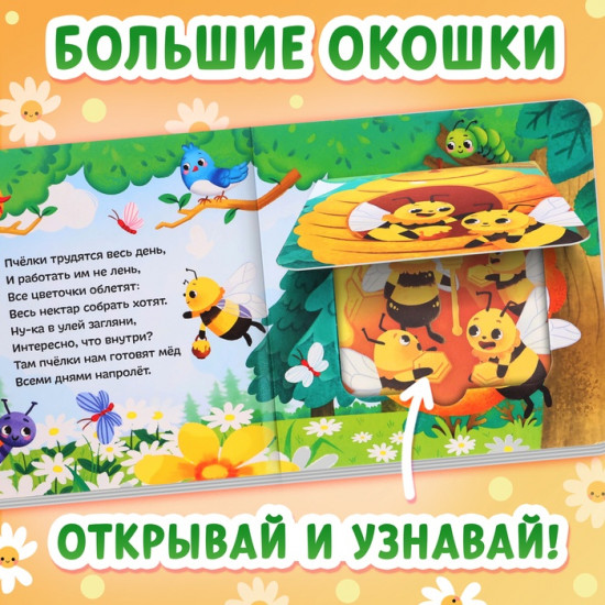 Книга с окошками «Кто в домике живёт?»