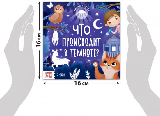 Книга с фонариком «Что происходит в темноте?»