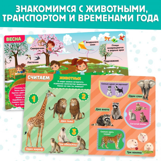 Набор книг с окошками