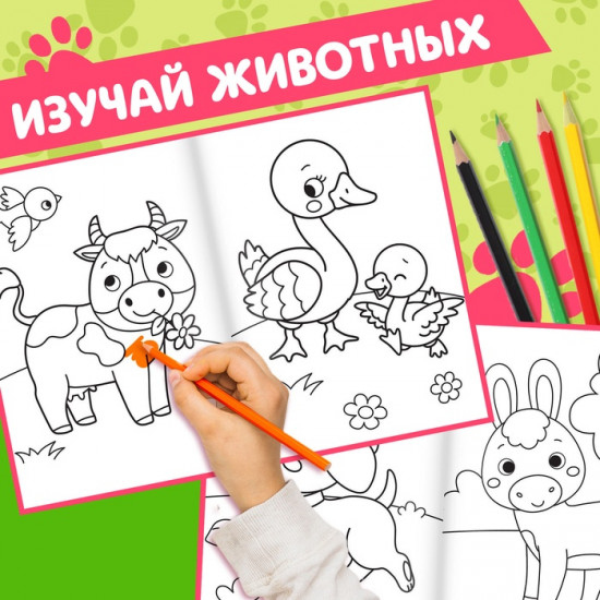 Набор раскрасок для малышей «Животные»