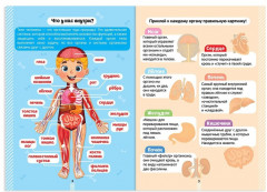 Секреты тела человека - Фото 1