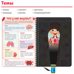 Книга с фонариком «Моё тело. Свети и изучай» - Фото 3