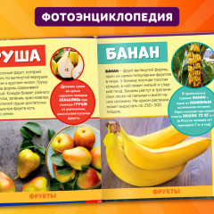 Мир вокруг нас - Фото 2