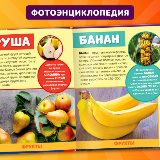 Мир вокруг нас