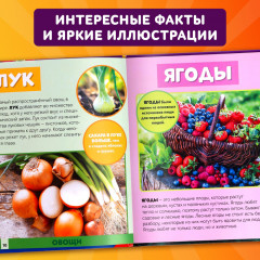 Мир вокруг нас - Фото 3