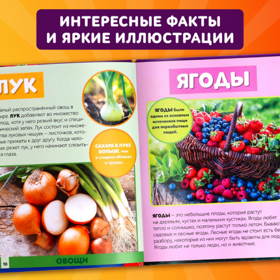 Мир вокруг нас
