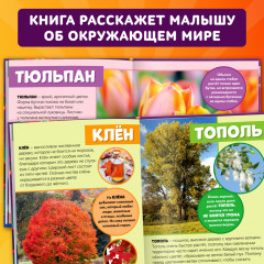 Мир вокруг нас - Фото 4