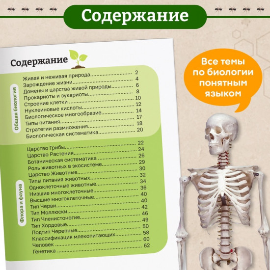 Биология для детей