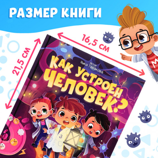 Как устроен человек?