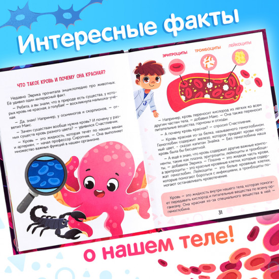 Как устроен человек?