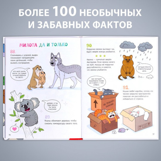 Забавные факты о животных