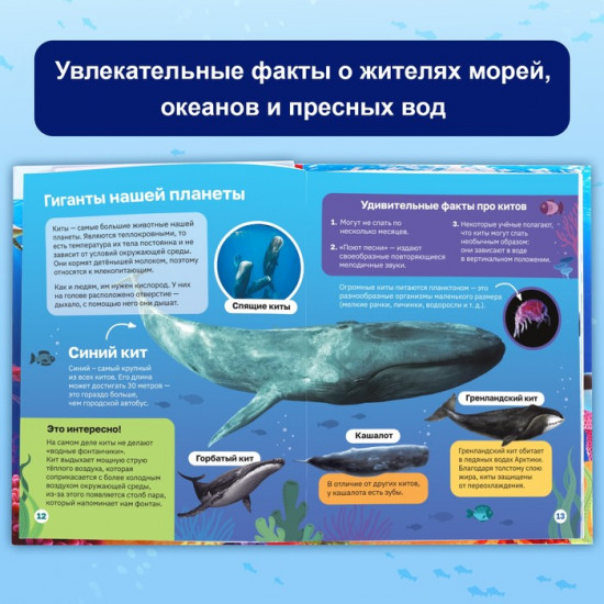 Подводный мир