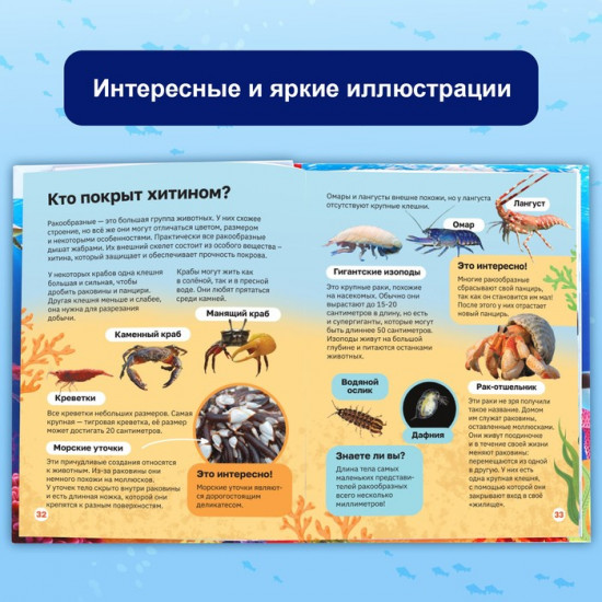 Подводный мир