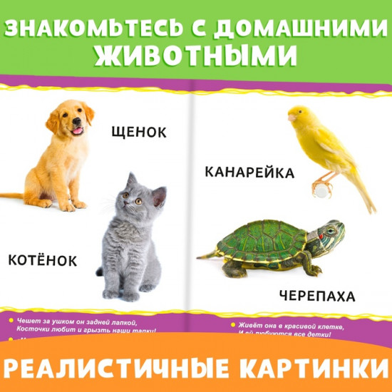 Набор книг «Для самых маленьких»