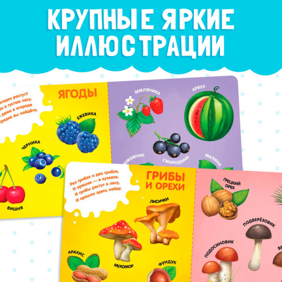 Книга «Фрукты, овощи и не только»