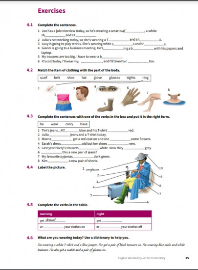 English Vocabulary in Use. 3rd edition