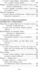 Волшебный код русских сказок - Фото 4