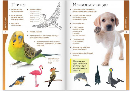 Набор книжек-шпаргалок «Мир природы и человека»