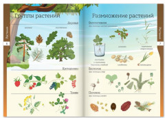 Набор книжек-шпаргалок «Мир природы и человека» - Фото 4