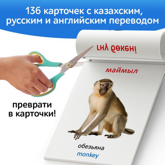 Набор книг по методике Г. Домана на казахском языке