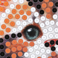 Картина из пайеток «Кошечка» - Фото 3