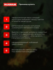 Три седьмицы до костра - Фото 3