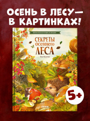 Секреты осеннего леса. Визуальная энциклопедия - Фото 1