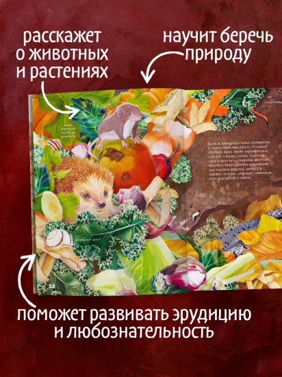 Секреты осеннего леса. Визуальная энциклопедия